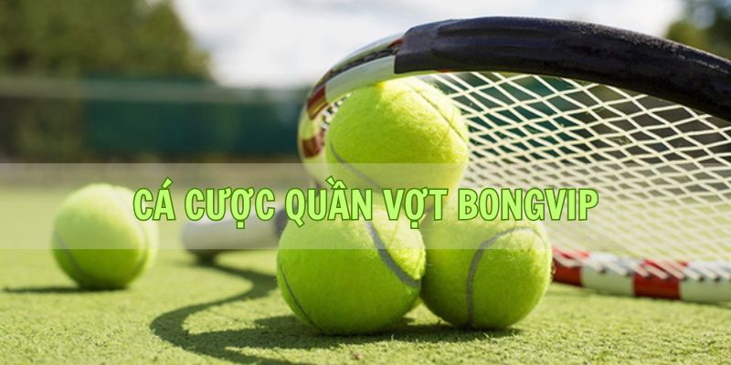 Bong vip - Nền Tảng Cá Cược Quần Vợt Hấp Dẫn Và Đáng Tin Cậy