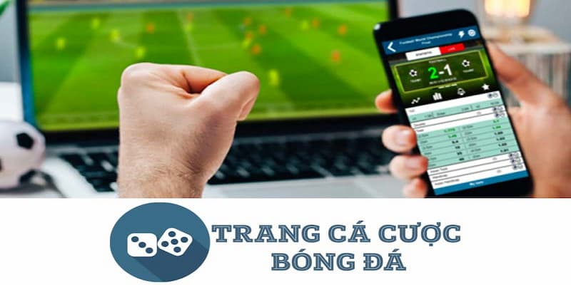 Cá độ bóng đá Bongvip